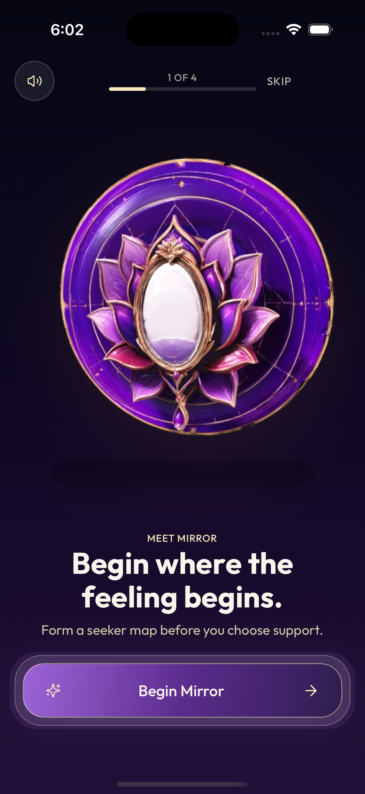 Mirror Welcome