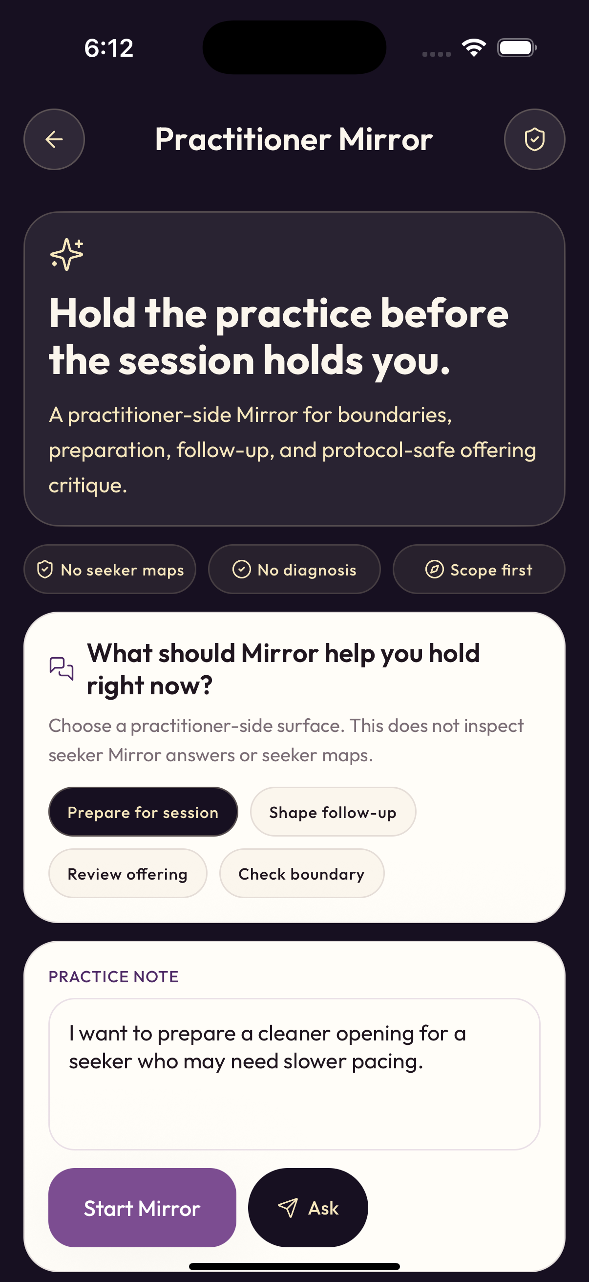Practitioner Mirror